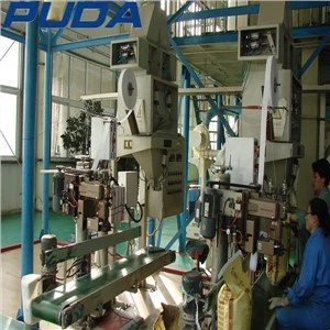 Suure täpsusega 1 kg 2 kg 5 kg graanulite riisi pakkimismasin